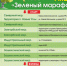 В ближайшее воскресенье в Череповце будет высажено около 500 деревьев в ходе акции «Зеленый марафон» - Cpv.Ru