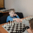 Все о сертификатах для кружков и секций - 35media.Ru
