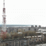 Корреспондент городского портала заразился коронавирусом в Череповце и рассказал о симптомах - Город Че
