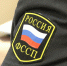 Череповчанина из-за долга в 20000 рублей не пустили за границу работать - Город Че