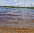 Череповецкие пляжи не успели открыть - Город Че