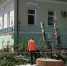 В Череповце оштрафуют предпринимателя, спилившего на своем участке несколько берез - Cher-Poisk.Ru