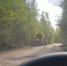 Череповецкие дачники с причалов требуют построить им дорогу - Город Че