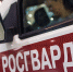 В Череповце задержали человека, пинавшего на дороге проезжавшие машины - Город Че