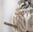 Фото: goodfon.ru - Cher-Poisk.Ru