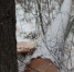 Фото: izvmor.ru - Cher-Poisk.Ru