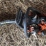 Под Шексной двое 12-летних школьников взломали и обокрали деревенский сарай - Cher-Poisk.Ru