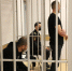 В Череповце начался суд над приезжими взломщиками банкоматов - Администрация г.Череповец