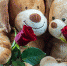 Две половинки одного целого: пять зодиакальных пар, которые идеально подходят друг другу - Город Че
