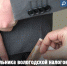 Замначальника вологодской налоговой службы заключена под стражу за коррупционные преступления - Cher-Poisk.Ru