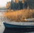 фото https://krot.info/ - Cher-Poisk.Ru
