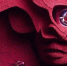 Стал известен главный цвет 2023 года - vse35.ru