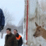 Фото: Юрий Парфенов - Cher-Poisk.Ru