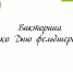 Викторина ко Дню фельдшера! - Череповецкий медицинский колледж