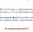 В Череповце исчезла дезориентированная пенсионерка в темно-бирюзовом пуховике - Cher-Poisk.Ru