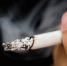 Глава табачной компании Philip Morris предлагает установить дату полного запрета сигарет в мире - Cher-Poisk.Ru