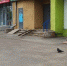 Фото ДТП Череповца (VK) - Cher-Poisk.Ru