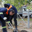 Фото: cherinfo.ru - Cher-Poisk.Ru