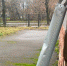 Фото: - Cher-Poisk.Ru