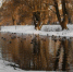Фото: freepik.com - Cher-Poisk.Ru
