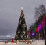 Фото: cherinfo.ru - Cher-Poisk.Ru