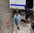 Фото: СУ СК РФ по Вологодской области - Cher-Poisk.Ru