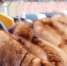 Фото: ChiccoDodiFC / Shutterstock - Cher-Poisk.Ru
