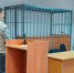 Фото: пресс-служба судов Вологодской области - CherInfo.Ru