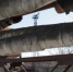 Фото: cherinfo.ru - Cher-Poisk.Ru