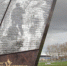 Фото: cherinfo.ru - Cher-Poisk.Ru
