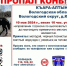 Пропал поисковый конь: срочный призыв к помощи в поисках - Cher-Poisk.Ru