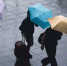 Фото: Unsplash - Cher-Poisk.Ru