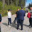В Пуловском лесу уберут больные и поваленные ветром деревья - Администрация г.Череповец