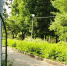 Фото: cherinfo.ru - Cher-Poisk.Ru