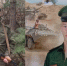 background - Cher-Poisk.Ru