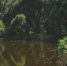 background - Cher-Poisk.Ru
