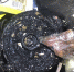 background - Cher-Poisk.Ru