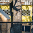 background - Cher-Poisk.Ru