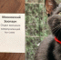 background - Cher-Poisk.Ru