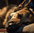 background - Cher-Poisk.Ru