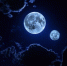 background - Cher-Poisk.Ru