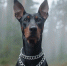 background - Cher-Poisk.Ru