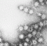 background - Cher-Poisk.Ru