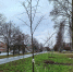 background - Cher-Poisk.Ru