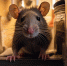 background - Cher-Poisk.Ru