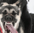background - Cher-Poisk.Ru