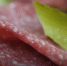 background - Cher-Poisk.Ru