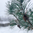 background - Cher-Poisk.Ru