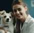 background - Cher-Poisk.Ru