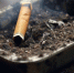 background - Cher-Poisk.Ru